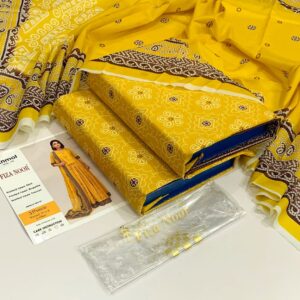 Elegant Pakistani Fashion 2025